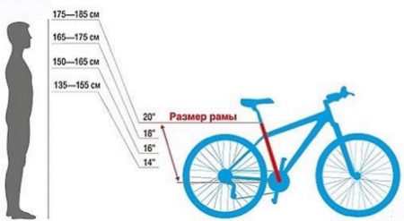 Таблица выбора велосипедной рамы по росту
