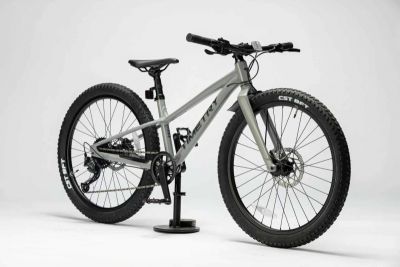 Велосипед TimeTry TT246 20" серый (2024) TT-246-grey