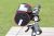 Велосумка на руль Roswheel Bicycle Rainproof Handlebar Bag 11887