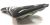 Седло Selle San Marco Magma Mg Replica Black Седло Selle San Marco Magma Mg Replica Black