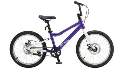 Велосипед детский TimeTry TT231 20" фиолетовый TT231_PU