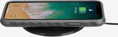 Чехол для смартфона TOPEAK RideCase W/MOUNT for iPhone 11 TT9862BG