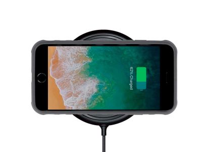Чехол для смартфона TOPEAK RideCase W/MOUNT for iPhone 8/7/6S/6 TT9856BG
